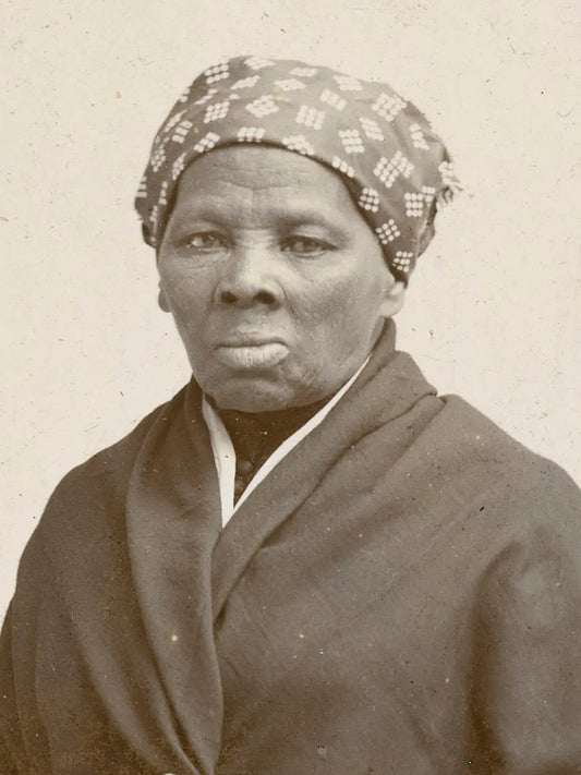 Harriet Tubman: The Hardcore Heroine of Freedom Hardcore by Josh Ely